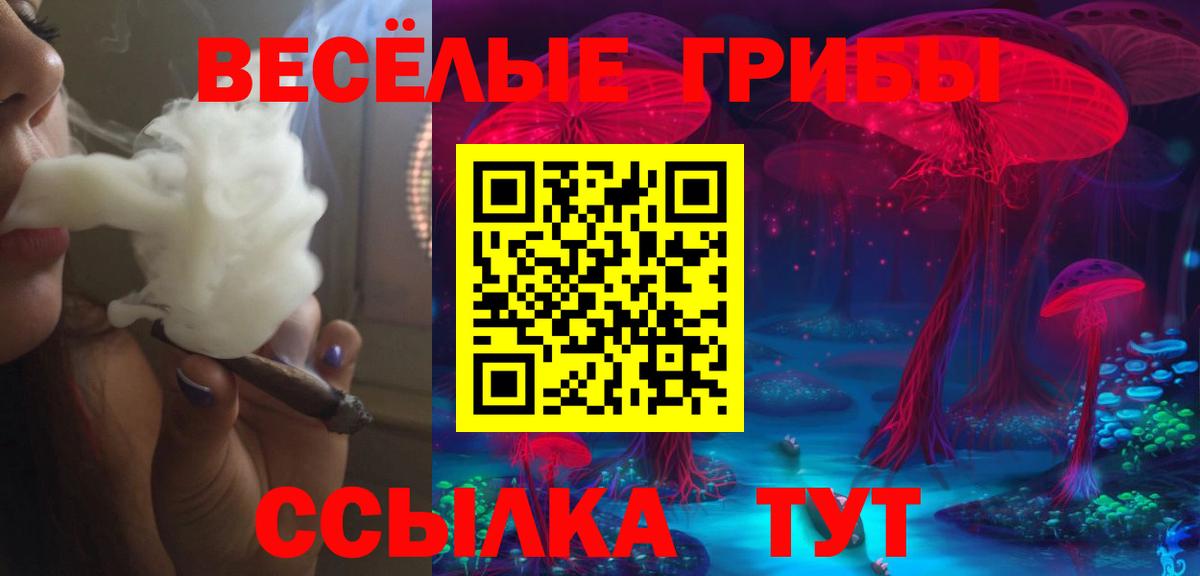 Шатура  Галлюциногенные грибы Magic Shrooms  Вход с VPN  Галлюциногенные грибы мицелий 